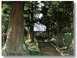 城玖寺