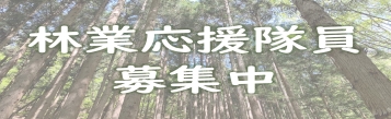 林業応援隊員募集中