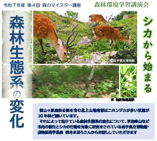 森のマイスター講座講演会 「シカから始まる森林生態系の変化」 | 住田町