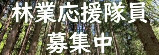 林業応援隊員募集中